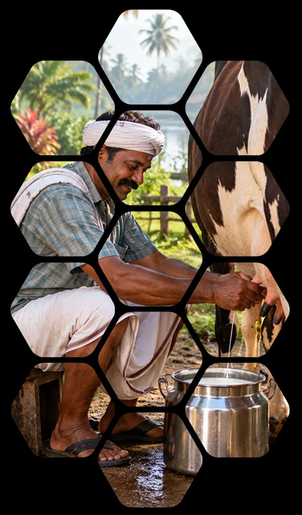 Elanadu farmer pouring fresh milk