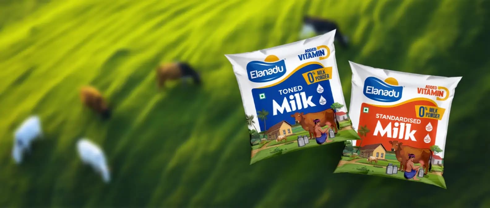 Elanadu farm-fresh dairy products — milk, curd, buttermilk, lassi and foods